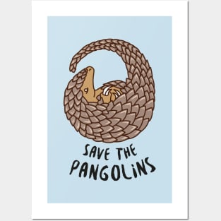 Save the Pangolins - Curled Up Pangolin Posters and Art